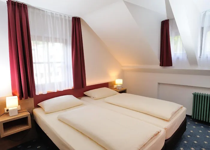 Alter Wirt Mini-hôtel